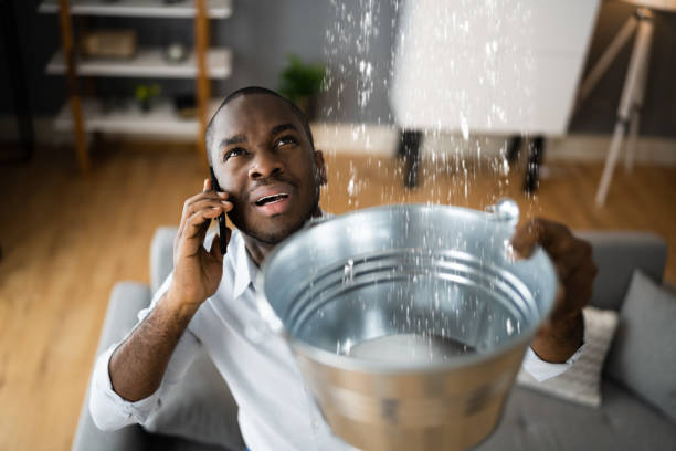 Best Flood damage cleanup  in Harris Hill, NY