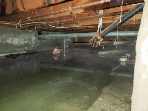 Best Water damage restoration cost  in Harris Hill, NY
