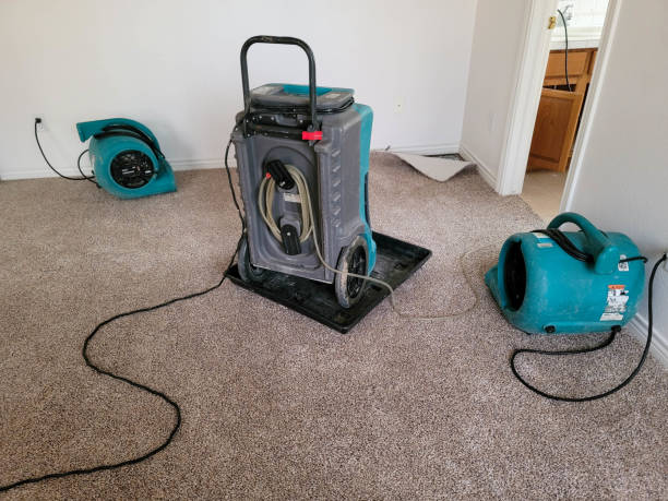 Best Local water damage restoration  in Harris Hill, NY