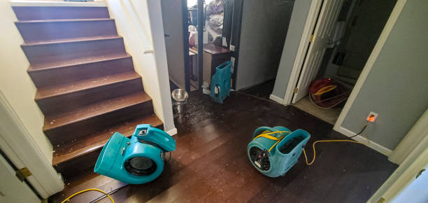 Best Commercial water damage restoration  in Harris Hill, NY