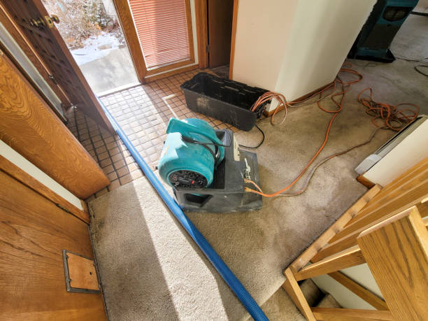 Best Water damage restoration services  in Harris Hill, NY