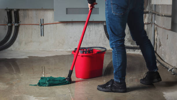Best Fire Damage Restoration  in Harris Hill, NY