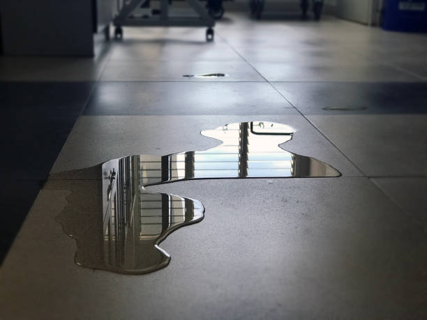 Best Commercial water damage restoration  in Harris Hill, NY