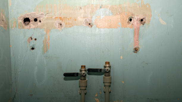 Best Professional water damage repair  in Harris Hill, NY
