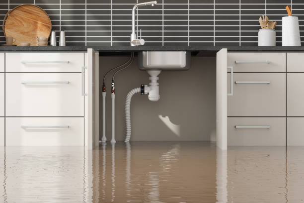 Best Residential water damage restoration  in Harris Hill, NY
