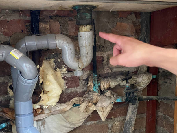 Best 24/7 water damage repair  in Harris Hill, NY