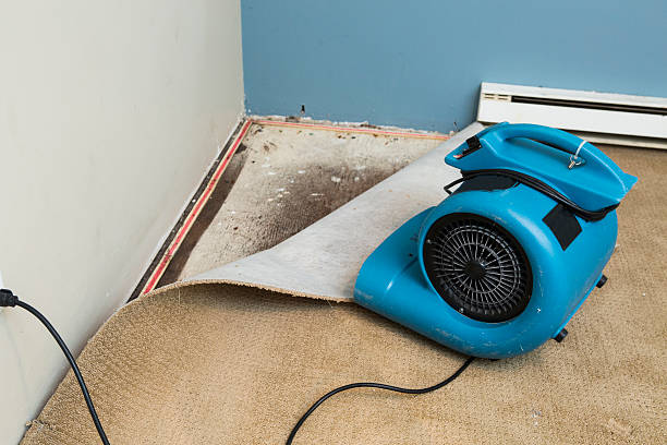 Best Sewage cleanup and water damage restoration  in Harris Hill, NY